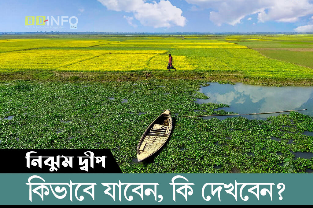 nijhum deep নিঝুম দ্বীপ কিভাবে যাবেন, কোথায় থাকবেন?