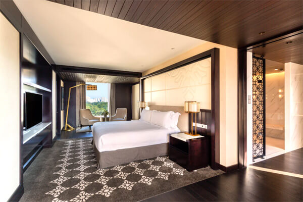 Presidential Suite (1)